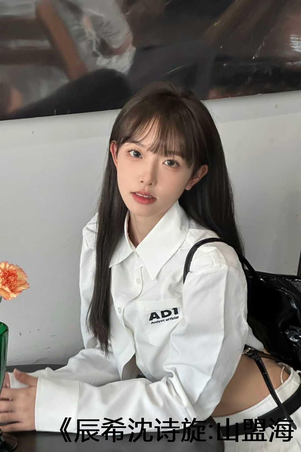 辰希沈诗旋