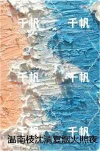 温南枝沈清宴