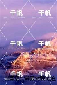 顾迟云云晚晚