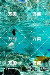 叶晚宁沈墨寒