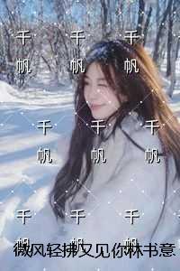 林书意陆沉