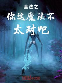 全法之你这魔法不太对吧