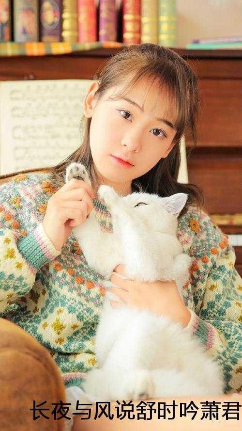 舒时吟萧君宴
